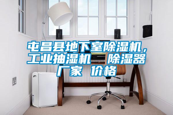 屯昌縣地下室除濕機，工業抽濕機  除濕器廠家 價格