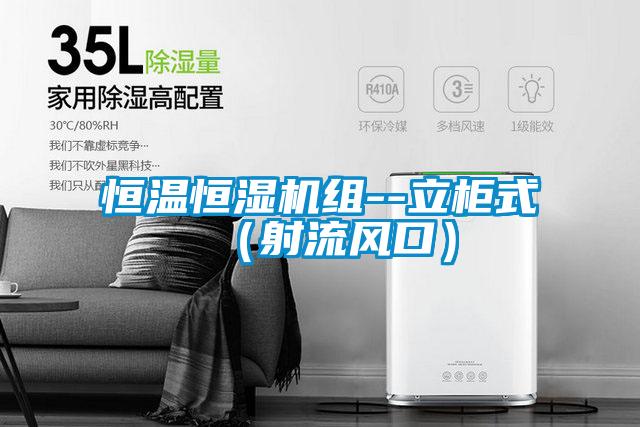 恒溫恒濕機組--立柜式(射流風口)
