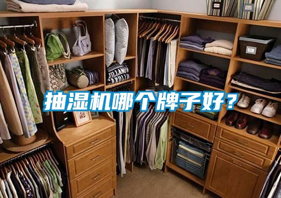 抽濕機哪個牌子好？