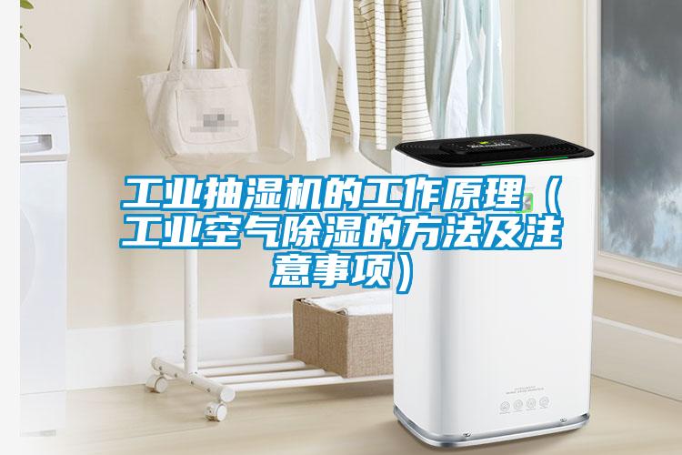 工業(yè)抽濕機的工作原理(工業(yè)空氣除濕的方法及注意事項)