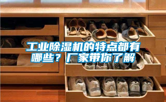 工業(yè)除濕機(jī)的特點(diǎn)都有哪些？廠家?guī)懔私?/></p>
						    <p style=