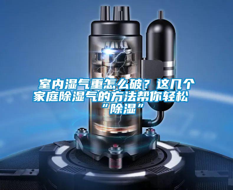 室內(nèi)濕氣重怎么破?這幾個(gè)家庭除濕氣的方法幫你輕松“除濕”