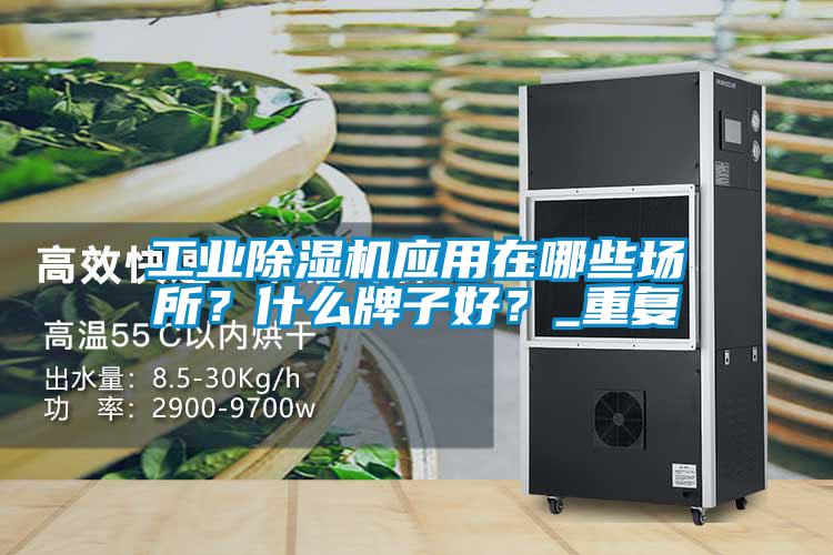 工業除濕機應用在哪些場所?什么牌子好?_重復