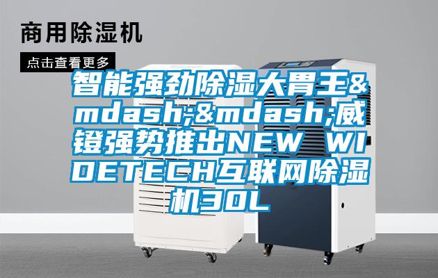 智能強勁除濕大胃王——威鐙強勢推出NEW WIDETECH互聯網除濕機30L