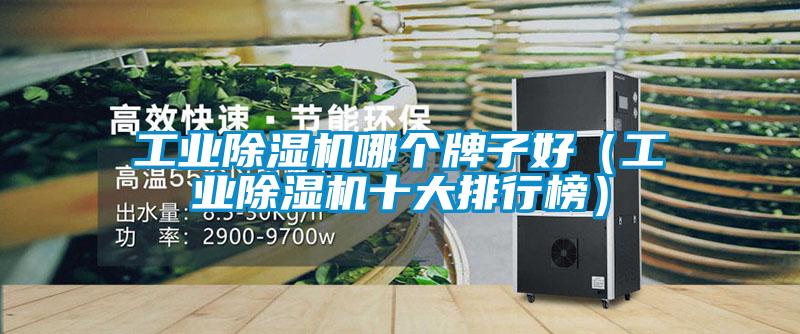 工業除濕機哪個牌子好(工業除濕機十大排行榜)