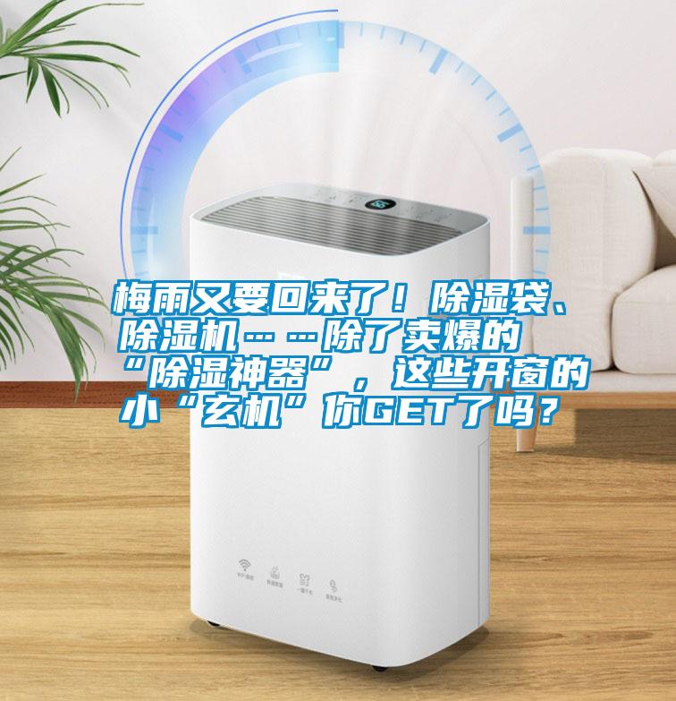 梅雨又要回來了!除濕袋、除濕機……除了賣爆的“除濕神器”,這些開窗的小“玄機”你GET了嗎?