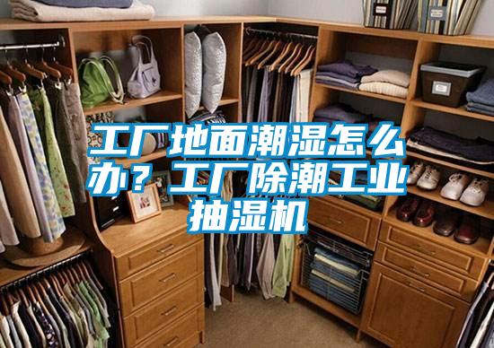 工廠地面潮濕怎么辦?工廠除潮工業抽濕機