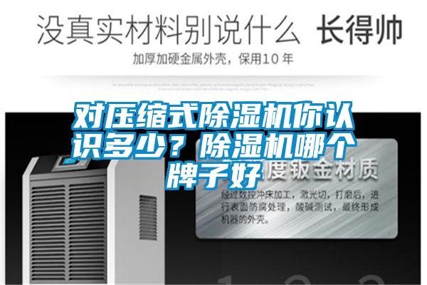 對壓縮式除濕機你認識多少？除濕機哪個牌子好