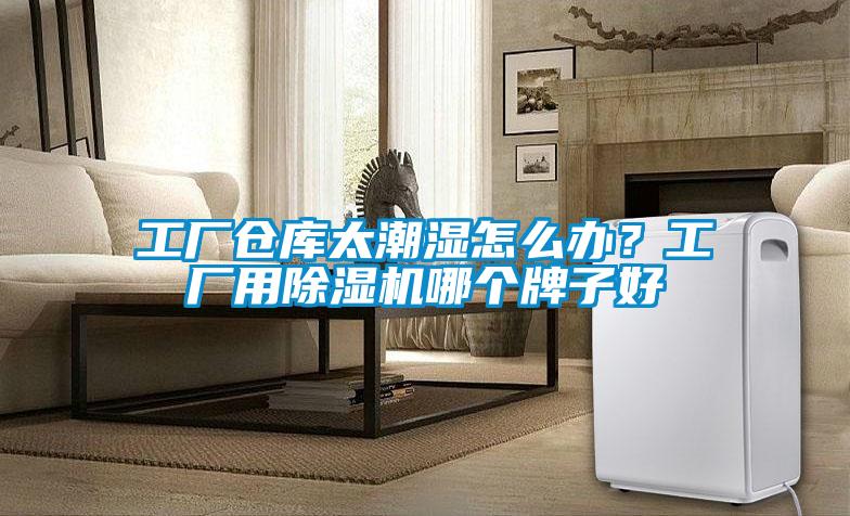 工廠倉庫太潮濕怎么辦？工廠用除濕機哪個牌子好