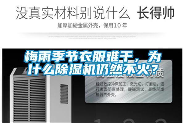 梅雨季節(jié)衣服難干,為什么除濕機仍然不火?