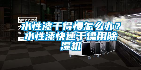 水性漆干得慢怎么辦?水性漆快速干燥用除濕機