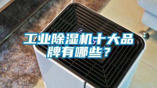 工業除濕機十大品牌有哪些？