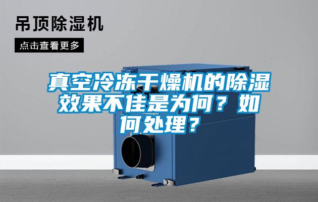 真空冷凍干燥機的除濕效果不佳是為何?如何處理?