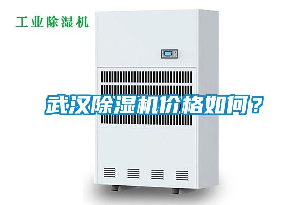 武漢除濕機價格如何？