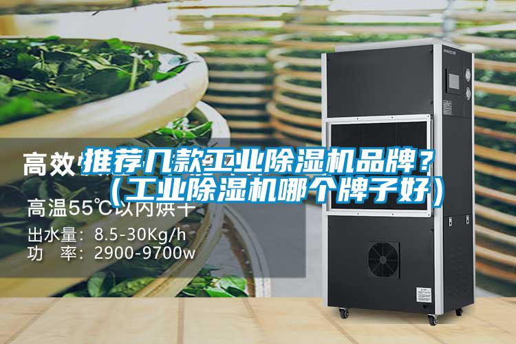 推薦幾款工業除濕機品牌？（工業除濕機哪個牌子好）
