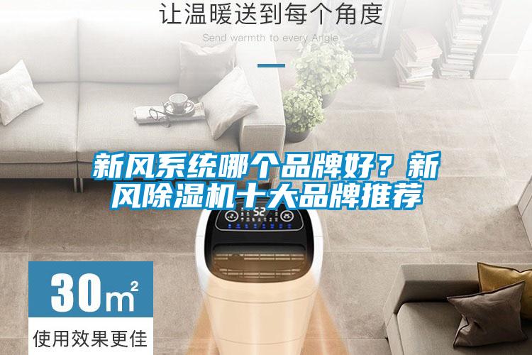 新風系統(tǒng)哪個品牌好?新風除濕機十大品牌推薦