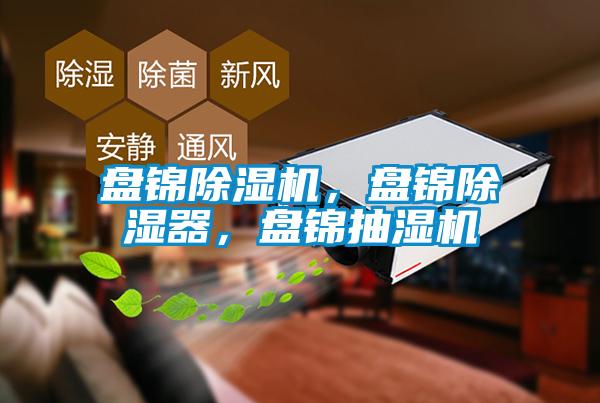 盤錦除濕機，盤錦除濕器，盤錦抽濕機