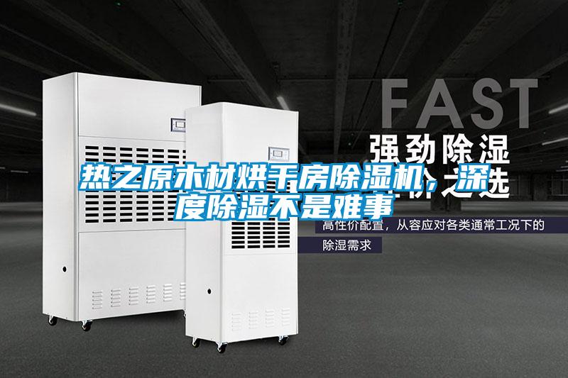 熱之原木材烘干房除濕機(jī),深度除濕不是難事