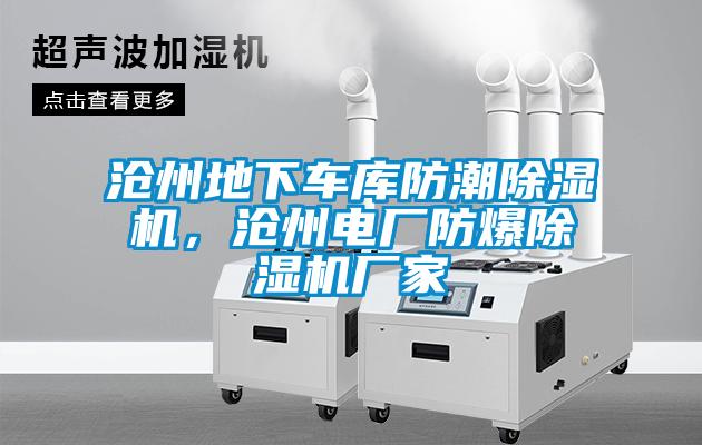 滄州地下車庫(kù)防潮除濕機(jī),滄州電廠防爆除濕機(jī)廠家