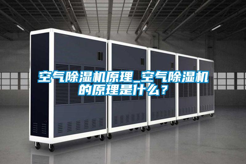 空氣除濕機原理_空氣除濕機的原理是什么?