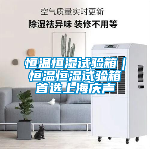 恒溫恒濕試驗(yàn)箱|恒溫恒濕試驗(yàn)箱首選上海慶聲