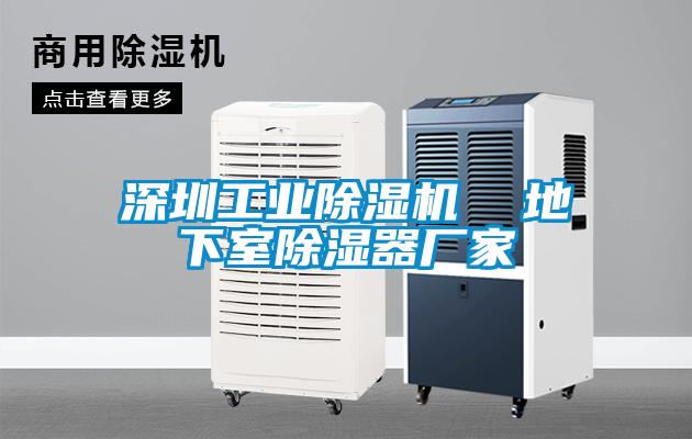 深圳工業(yè)除濕機 地下室除濕器廠家