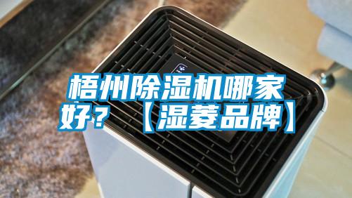 梧州除濕機哪家好?【濕菱品牌】