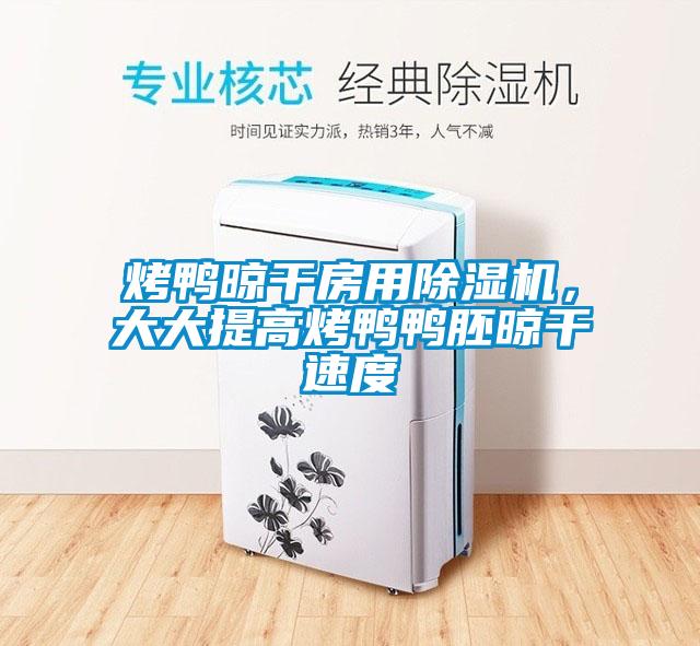 烤鴨晾干房用除濕機，大大提高烤鴨鴨胚晾干速度