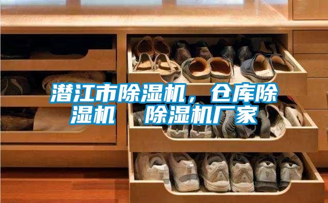 潛江市除濕機(jī),倉(cāng)庫(kù)除濕機(jī) 除濕機(jī)廠家