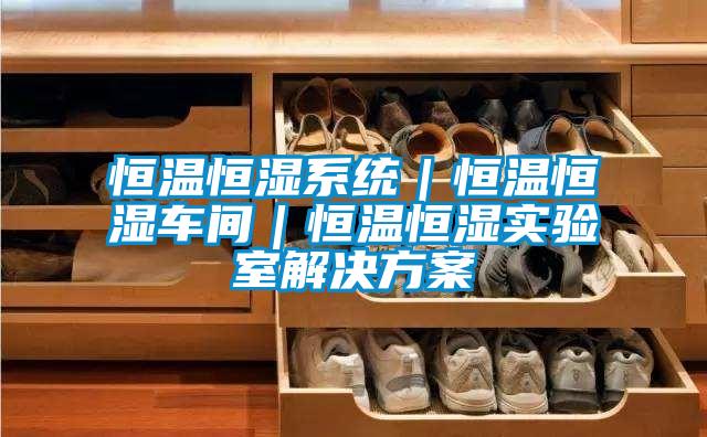 恒溫恒濕系統(tǒng)|恒溫恒濕車間|恒溫恒濕實驗室解決方案