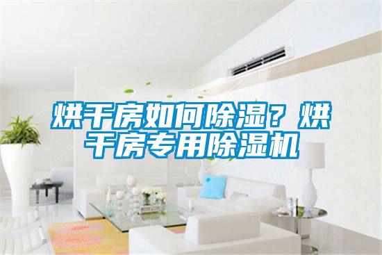 烘干房如何除濕？烘干房專(zhuān)用除濕機(jī)