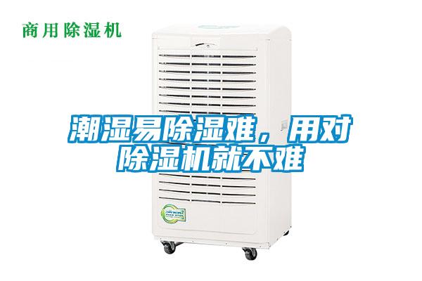 潮濕易除濕難，用對除濕機就不難