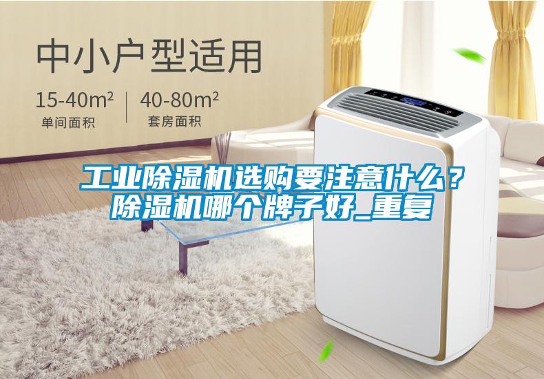 工業(yè)除濕機選購要注意什么？除濕機哪個牌子好_重復