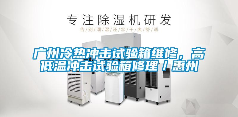 廣州冷熱沖擊試驗箱維修,高低溫沖擊試驗箱修理/惠州