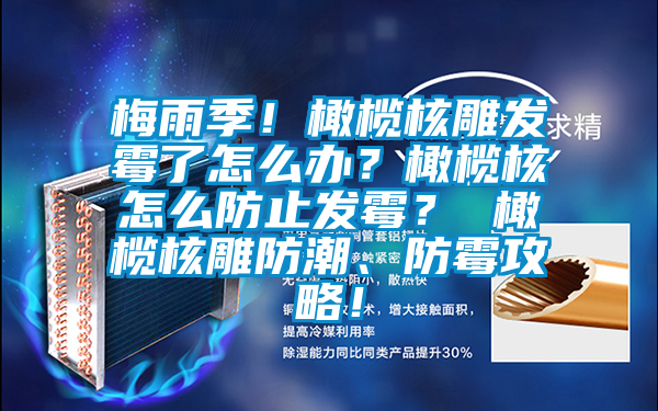 梅雨季！橄欖核雕發霉了怎么辦？橄欖核怎么防止發霉？ 橄欖核雕防潮、防霉攻略！