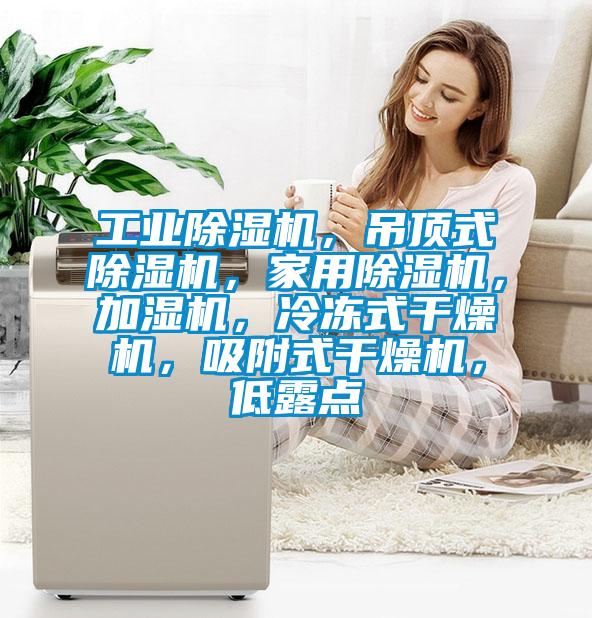 工業除濕機，吊頂式除濕機，家用除濕機，加濕機，冷凍式干燥機，吸附式干燥機，低露點