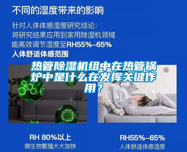 熱管除濕機組中在熱管鍋爐中是什么在發(fā)揮關(guān)鍵作用?