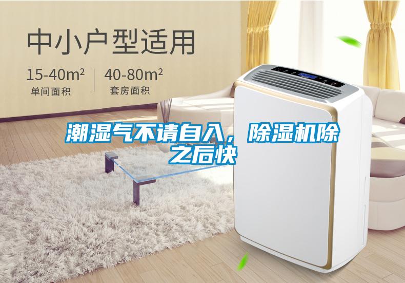 潮濕氣不請自入,除濕機(jī)除之后快
