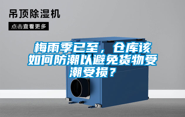 梅雨季已至，倉庫該如何防潮以避免貨物受潮受損？