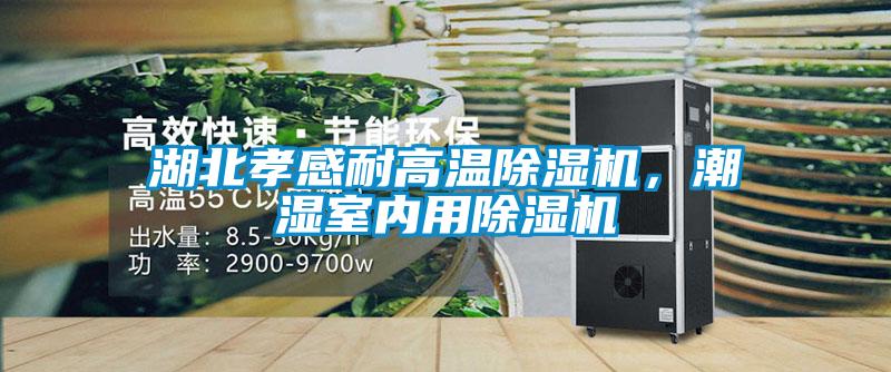 湖北孝感耐高溫除濕機，潮濕室內(nèi)用除濕機