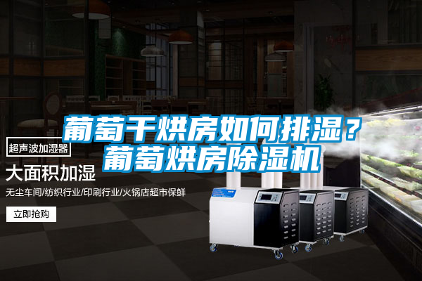 葡萄干烘房如何排濕?葡萄烘房除濕機(jī)