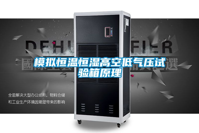 模擬恒溫恒濕高空低氣壓試驗箱原理