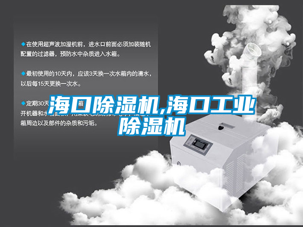 ?？诔凉駲C,海口工業除濕機