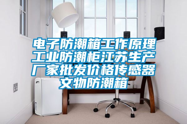 電子防潮箱工作原理工業防潮柜江蘇生產廠家批發價格傳感器文物防潮箱
