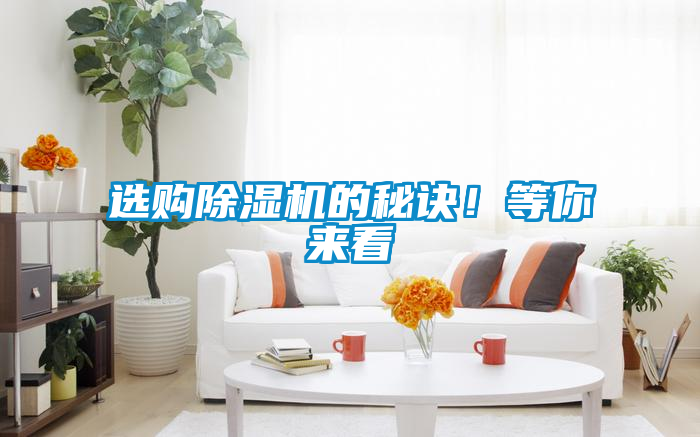 選購除濕機的秘訣！等你來看