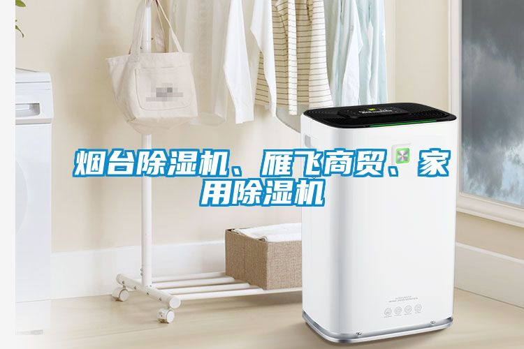 煙臺除濕機、雁飛商貿(mào)、家用除濕機