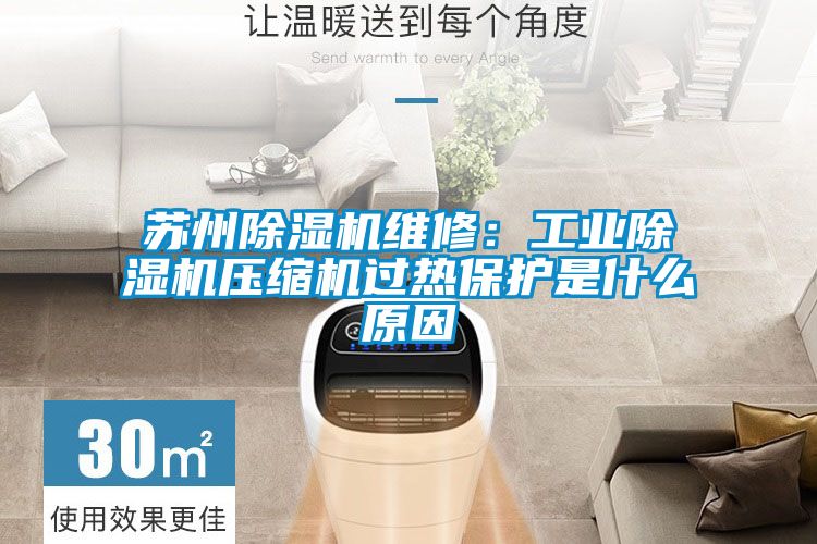 蘇州除濕機(jī)維修:工業(yè)除濕機(jī)壓縮機(jī)過熱保護(hù)是什么原因