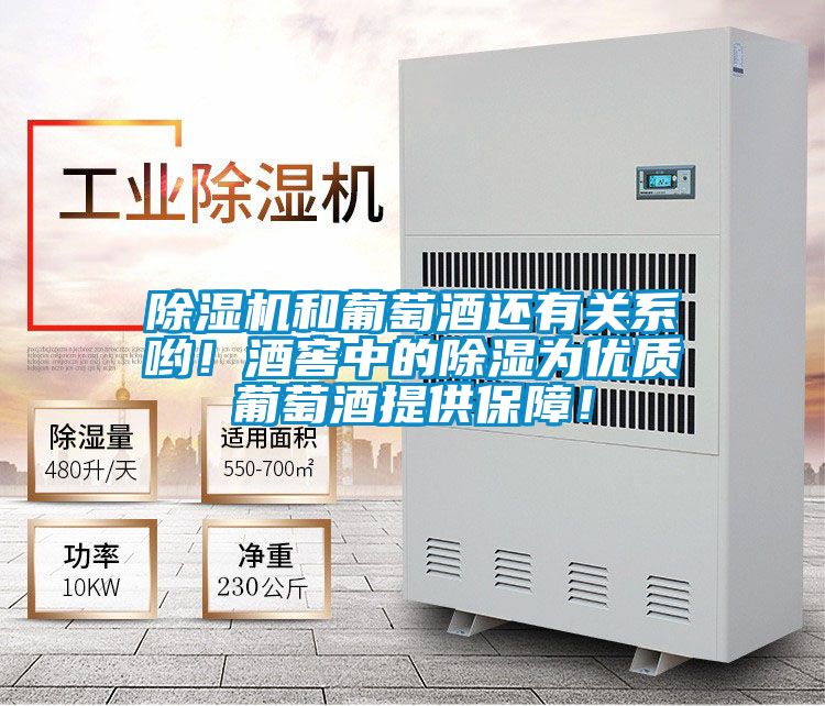除濕機(jī)和葡萄酒還有關(guān)系喲！酒窖中的除濕為優(yōu)質(zhì)葡萄酒提供保障！