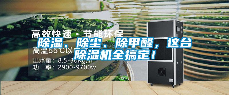 除濕、除塵、除甲醛,這臺除濕機全搞定!