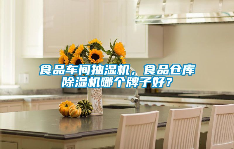 食品車間抽濕機，食品倉庫除濕機哪個牌子好？